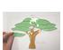 241201_4 thumbnail image
