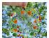 241204_6 thumbnail image