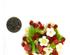 241205_4 thumbnail image