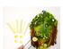 241206_6 thumbnail image