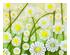 241210_7 thumbnail image