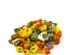 241211_2 thumbnail image
