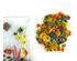 241211_6 thumbnail image