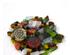 241213_2 thumbnail image