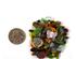 241213_4 thumbnail image