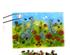241213_8 thumbnail image