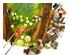 241215_3 thumbnail image