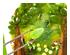 241218_5 thumbnail image