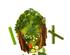 241218_6 thumbnail image