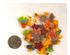 241223_9 thumbnail image