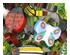 241224_2 thumbnail image