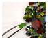 241224_3 thumbnail image