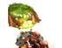 241226_5 thumbnail image