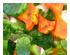241227_2 thumbnail image