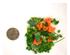 241227_9 thumbnail image