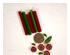 241231_9 thumbnail image