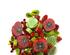 241234_1 thumbnail image