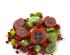 241234_2 thumbnail image