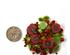 241234_3 thumbnail image