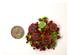 241234_9 thumbnail image