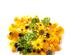 241236_1 thumbnail image