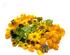 241236_2 thumbnail image