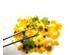 241236_3 thumbnail image