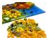 241236_5 thumbnail image