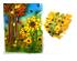 241236_6 thumbnail image