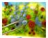 241238_5 thumbnail image