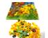 241241_5 thumbnail image