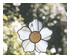 241244_1 thumbnail image