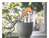 241244_2 thumbnail image