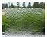 241264_1 thumbnail image