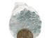 241269_4 thumbnail image