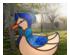 241294_6 thumbnail image