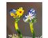 241297_6 thumbnail image