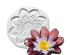 241298_4 thumbnail image