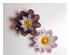 241298_8 thumbnail image