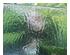 241322_2 thumbnail image