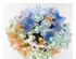 241333_1 thumbnail image