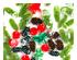 241335_3 thumbnail image