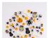 241338_1 thumbnail image