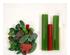 241339_3 thumbnail image