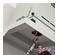 241345_2 thumbnail image