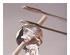 241348_2 thumbnail image