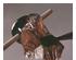 241348_3 thumbnail image