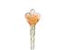 241405_9 thumbnail image