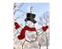 241493_7 thumbnail image